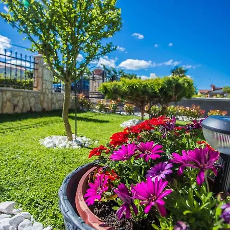 Διαμέρισμα App Rosi *